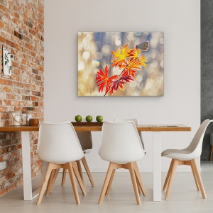 Tablou Canvas - Momente Septembrie, Fluture, Insecta, Rosu, Toamna, 60 x 80 cm - Img 4