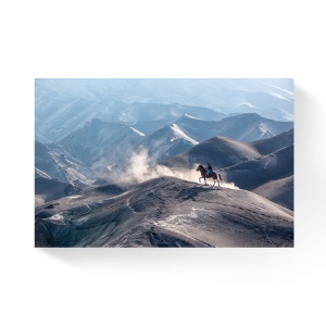 Tablou Canvas - Natura, Munte, Cal, Om, Peisaj, 80 x 120 cm