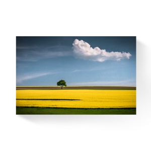 Tablou Canvas - Natura, Peisaj, Galben, Nori, Copac, 80 x 120 cm
