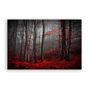 Tablou Canvas - Natura, Peisaj, Padure, Frunze, Toamna, 40 x 60 cm