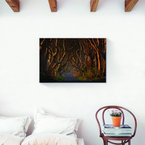 Tablou canvas cu peisaj de pădure în toamnă 40x60 cm