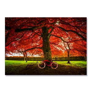 Tablou Canvas - Natura, Toamna, Bicicleta Rosie 60 x 80 cm