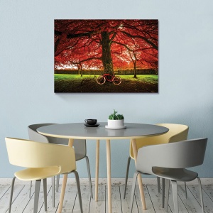 Tablou Canvas - Natura, Toamna, Bicicleta Rosie 60 x 80 cm - Img 2