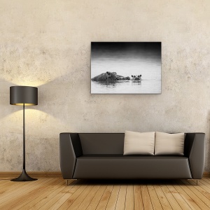 Tablou Canvas - Nivelul Ochilor, Hipopotam, 75 x 100 cm - Img 2
