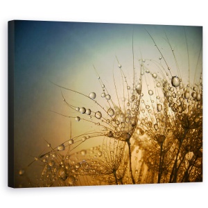 Tablou Canvas - Noapte Tandra,Picatura, Apa, Umed, Bland, 60 x 75 cm