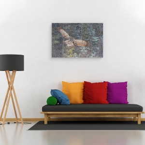 Tablou canvas - O Bufnita Mare In Ninsoare, Iarna, Rece, Canada, Pene, 60 x 90 cm - Img 2