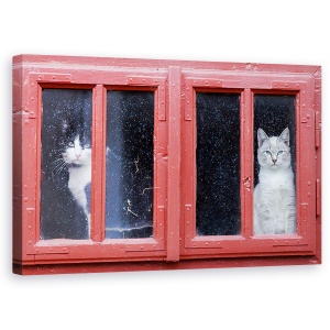 Tablou canvas - O Camera Cu Vedere, Animal, Rosu, Cadru, Pisica, 50 x 80 cm