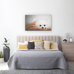 Tablou canvas - O Zi De Iarna, Caine, Chihuahua, Pet, Animal, 50 x 80 cm - Img 3