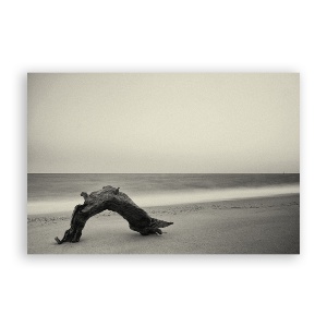Tablou Canvas - Ocean, Mal, Creanga, 75 x 100 cm