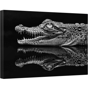 Tablou canvas - Oglinda, Animal, Taratoare, Alb-Negru, Oglinda, Crocodil, Aligator, 40 x 60 cm