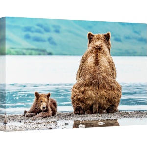 Tablou canvas - Opusi, Kamchatka, Rusia, Natura, Animale, Salbatic, Ursi, 40 x 60 cm