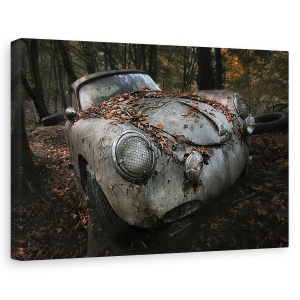 Tablou canvas - Padure Rosie, Natura Moarta, Stare De Spirit, Degradare, Masina, 60 x 90 cm