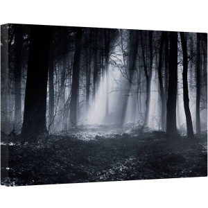 Tablou canvas - Padurea Capela, Padure, Dimineata, Raze de Lumina, Raza de Lumina, Ray, Raze, 80 x 120 cm