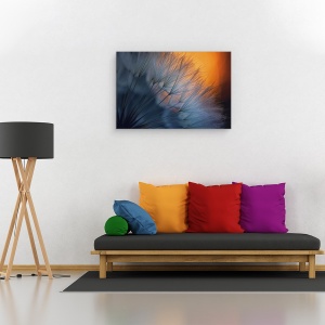 Tablou canvas - Pana, Pene, Apus, Portocaliu, Papadie, 60 x 90 cm - Img 2
