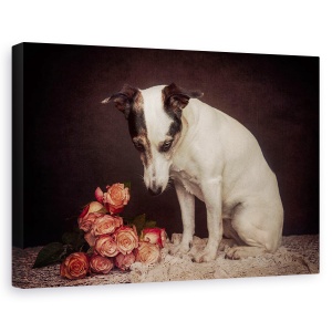 Tablou canvas - Pe Masura Ce Trece Timpul, Caini, Studio, Animale, Trandafiri, 40 x 60 cm