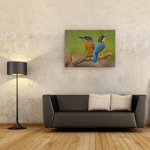 Tablou canvas - Pescarus De Mare, Pereche, Cuplu, Pasari, Natura, 75 x 100 cm - Img 2