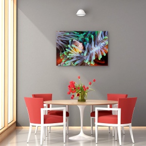 Tablou decorativ peștele-clovn pe canvas, 60x90 cm