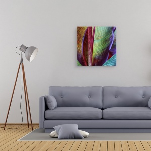 Tablou canvas - Piele De Banana, Frunza, Bananier, Model, Frunze, 60 x 60 cm - Img 2