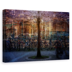 Tablou canvas - Piesa Centrala, Strada, Copac, Copac Singuratic, Biciclete, 60 x 90 cm