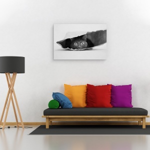 Tablou canvas - Pisica din Punga, Sac, Pet, Animal, Dragut, 40 x 60 cm - Img 2