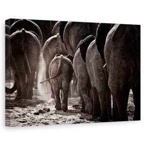 Tablou canvas - Plimbare Spre Casa, Elefant, Africa, Mers Pe Jos, Salbatic, Copil, 60 x 90 cm