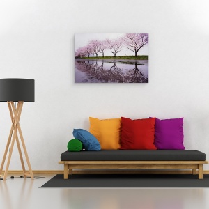 Tablou canvas - Ploaie De Primavara, Cirese, Inflorit, Copaci, Alee, Reflectie, 40 x 60 cm - Img 2