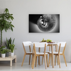 Tablou canvas - Portbagaj, Elefant, Alb-Negru, Cerc, Spiral, 50 x 80 cm - Img 4
