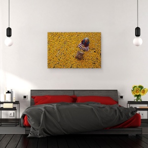 Tablou canvas - Porumb, Doamna, Femeie, Documentar, Model, 40 x 60 cm - Img 3