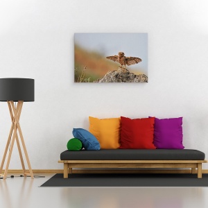 Tablou canvas - Pot Sa Zbor, Julis, Dragut, Bufnita, Pasare, 60 x 90 cm - Img 2
