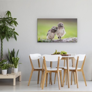 Tablou canvas - Prieteni, Salbatic, Dragut, Frati, Bufnita, 50 x 80 cm - Img 4