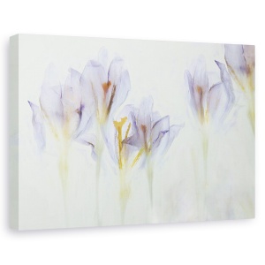 Tablou canvas - Primavara, Crocus, Floare, Pictor, 40 x 60 cm