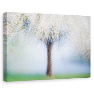 Tablou canvas - Primavara De Vis, Peisaj, Copac, Visator, Basm, 80 x 120 cm
