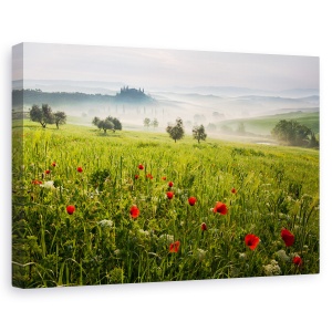 Tablou canvas - Primavara toscana, Peisaj, Italia, Ceata, Dimineata, 60 x 90 cm