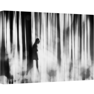 Tablou canvas - Prins in Pacat, Contrast, Moale, Femeie, Padure, Persoana, 60 x 90 cm