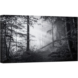 Tablou canvas - Punct Fara Intoarcere, Peisaj, Padure, Poteca, Traseu, Drum, Raze de Lumina, 50 x 100 cm