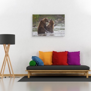 Tablou canvas - Razboiul Ursilor, Fauna, Salbatic, Natura, Animale, Ursi Bruni, Urs Brun, 40 x 60 cm - Img 2