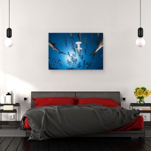 Tablou canvas - Rechinul Ciocan, Rechin, Sub Apa, Ciocan, Fauna, Scufundare, Scufundari, 80 x 120 cm - Img 3