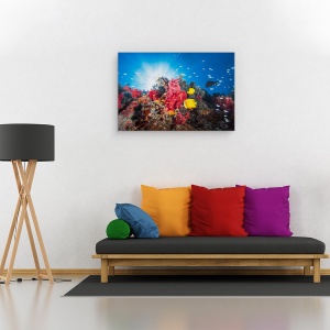 Tablou canvas - Recif, Sub Apa, Peste, Laguna, Coral, Mare, 60 x 90 cm - Img 2