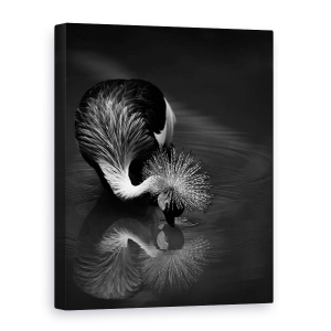 Tablou canvas - Reflectie, Pasare, Apa, Alb-Negru, Oglinda, 75 x 100 cm
