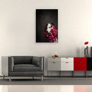Tablou canvas - Regina Trandafirului ii, Caini, Studio, Regina, Caine, Trandafir, 60 x 90 cm - Img 2