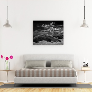Tablou canvas - Rendez-Vous Pe Litoral, Belgia, Dune, Umbrele, 60 x 75 cm - Img 3
