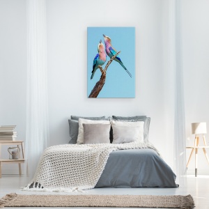 Tablou canvas - Rolele De Flirt, Role, Pereche, Cuplu, Pasare, 60 x 90 cm - Img 3