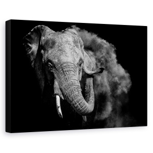 Tablou canvas - Salbatic, Elefant, Salbatic, Kenya, Alb-Negru, Safari, 60 x 90 cm
