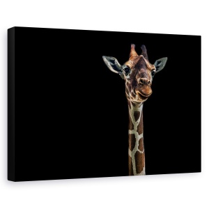 Tablou decorativ modern living cu girafă în Roma pe canvas