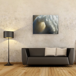 Tablou canvas - Sanctuar, Lebada, Pana, Pene, Moale, Animal, 60 x 80 cm - Img 2