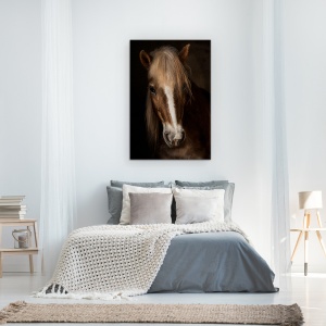 Tablou Canvas - Sapience, Haflinger, Cal, Ferma, Montpellier, Animale, 80 x 120 cm - Img 3