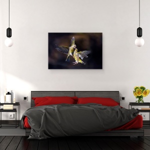 Tablou canvas - Sarut Din Zbor, Natura, Pasare, Zbor, Sarut, 60 x 90 cm - Img 3