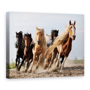 Tablou Canvas - Sasele Norocos, Cal, Actiune, Animale, Putere, Viteza, 75 x 100 cm