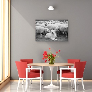 Tablou canvas - Seful, Caine, Caine , Oi, Vite, Animale, 60 x 90 cm - Img 4