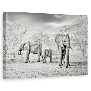 Tablou canvas - Sezon Uscat, Safari, Calatorie, Africa, Elefant, Copac, 80 x 120 cm